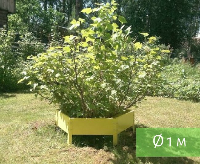Клумба "Сота" 500 в Челябинске